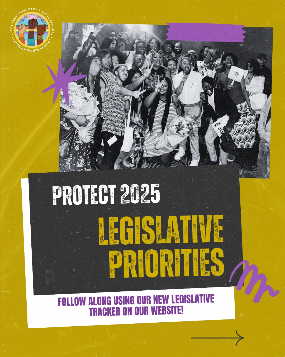 📢 HUGE NEWS! 💜 Introducing... - Lavender Rights Project | Facebook