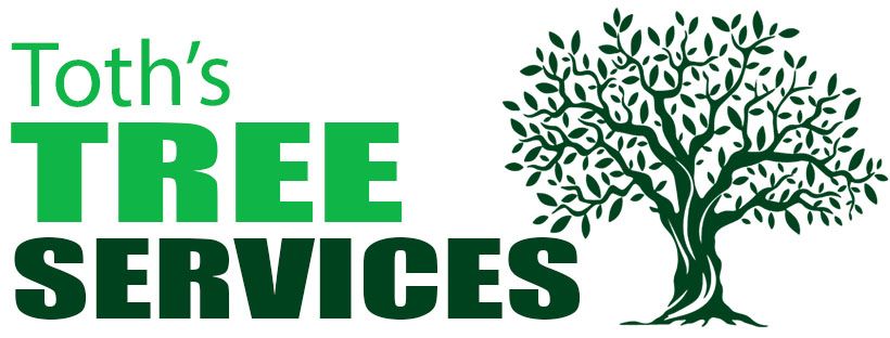 Toth Tree Service | London ON