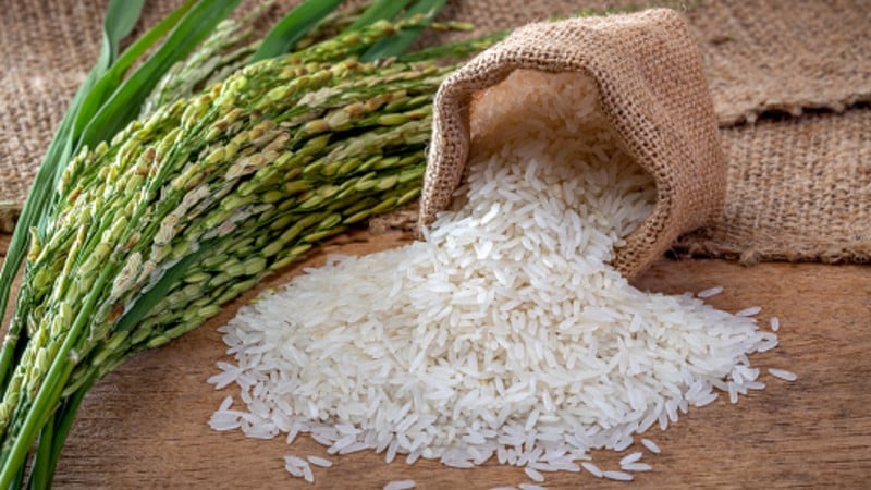 PART I: HUMAY = It is the very BISAYA term for RICE (spanish: ARROZ ...