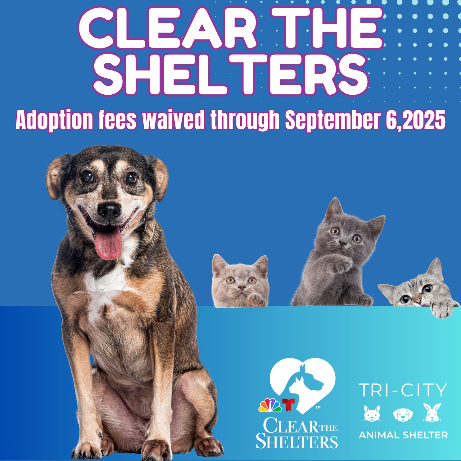 🎉🐾 Clear the Shelters 2025 is... - Tri City Animal Shelter | Facebook