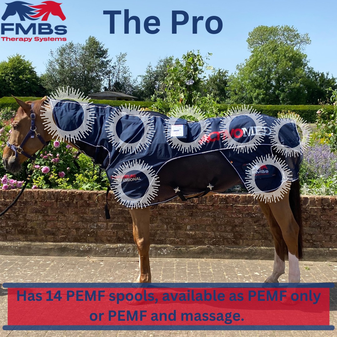 FMBs - Our flagship Combi Pro PEMF and Massage rug is engineered to ...
