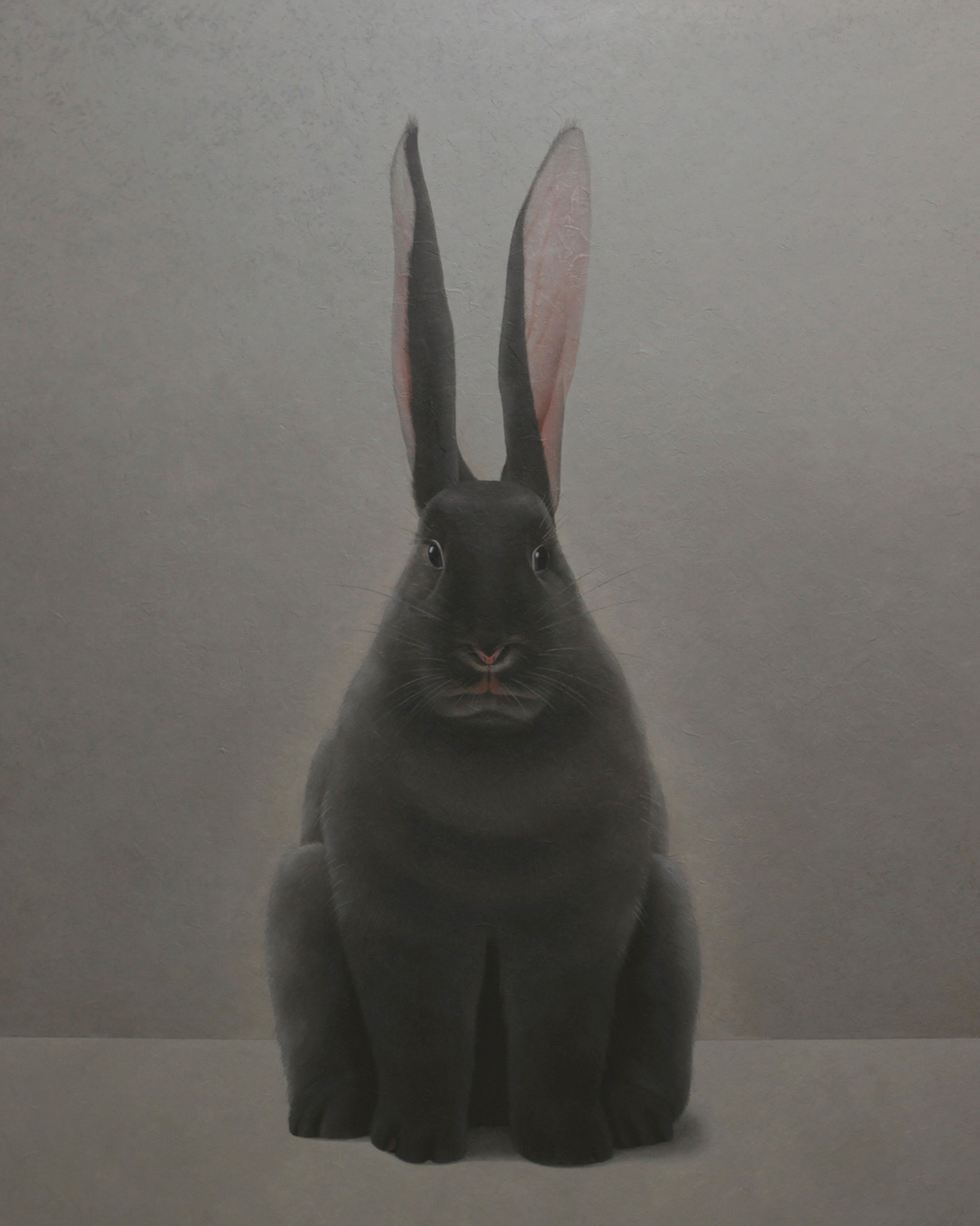 White - Shao Fan, ‘Rabbit Portrait – Yichou’ (2009) 🐰 Drawing on the ...