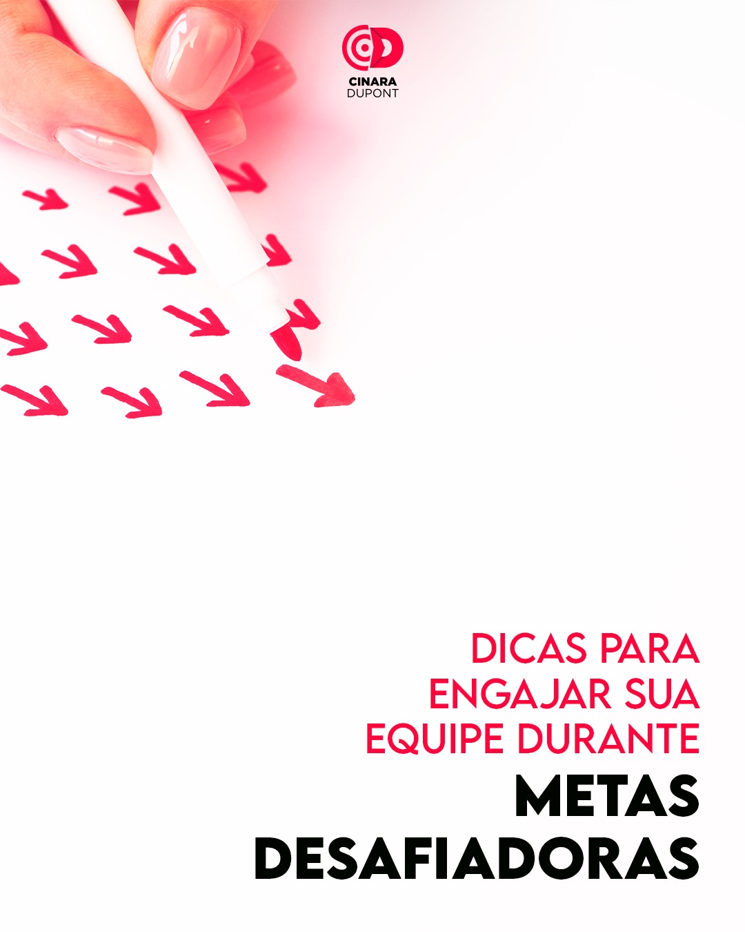 Cinara - Metas desafiadoras podem ser motivadoras ou desanimadoras ...