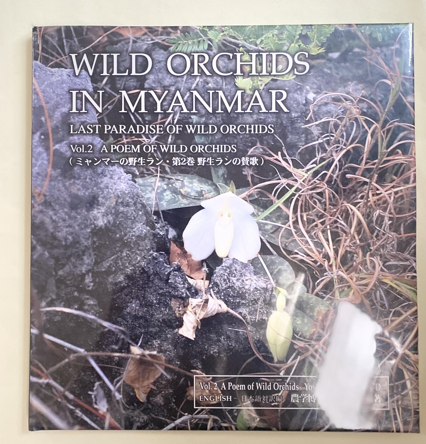 ミャンマーの野生ラン WILD ORCHIDS IN MYANMAR 〜 ミャンマーの野生