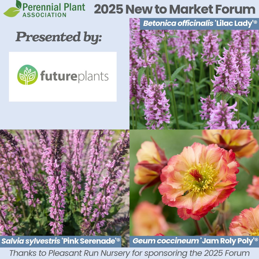 Perennial Plant Association... - Perennial Plant Association