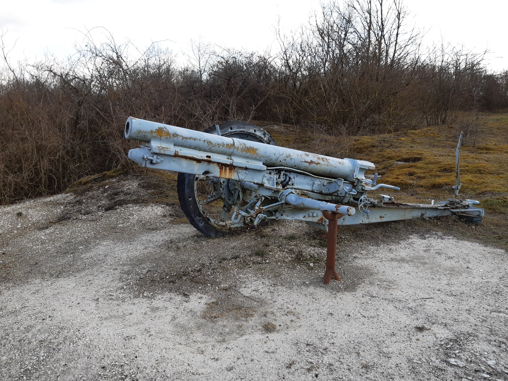 St.George model