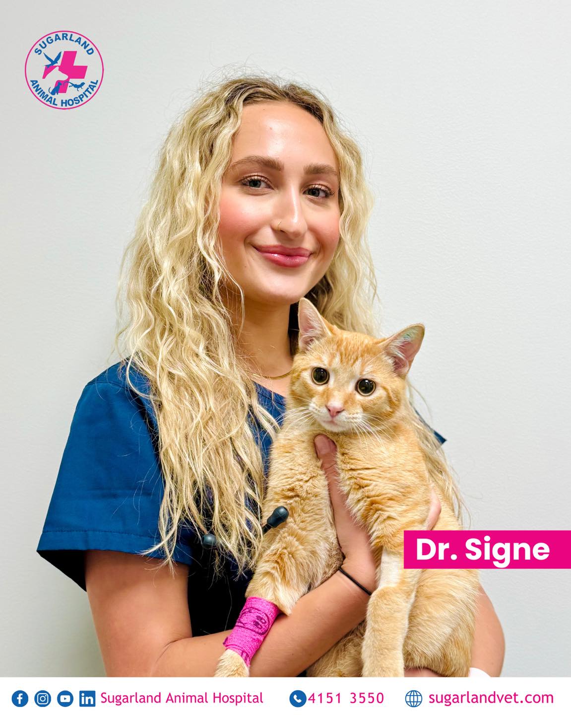 Big news! 🌟 Dr. Signe has... - Sugarland Animal Hospital | Facebook