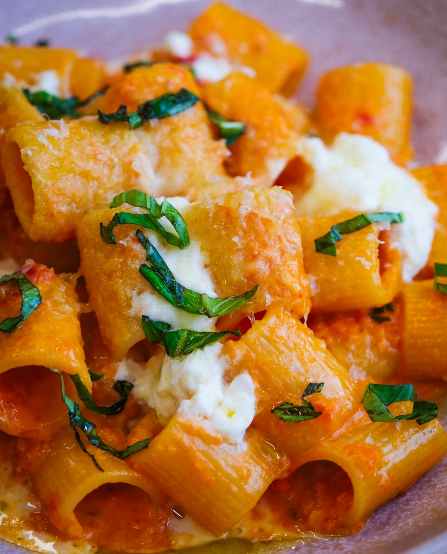 The Pasta Addict