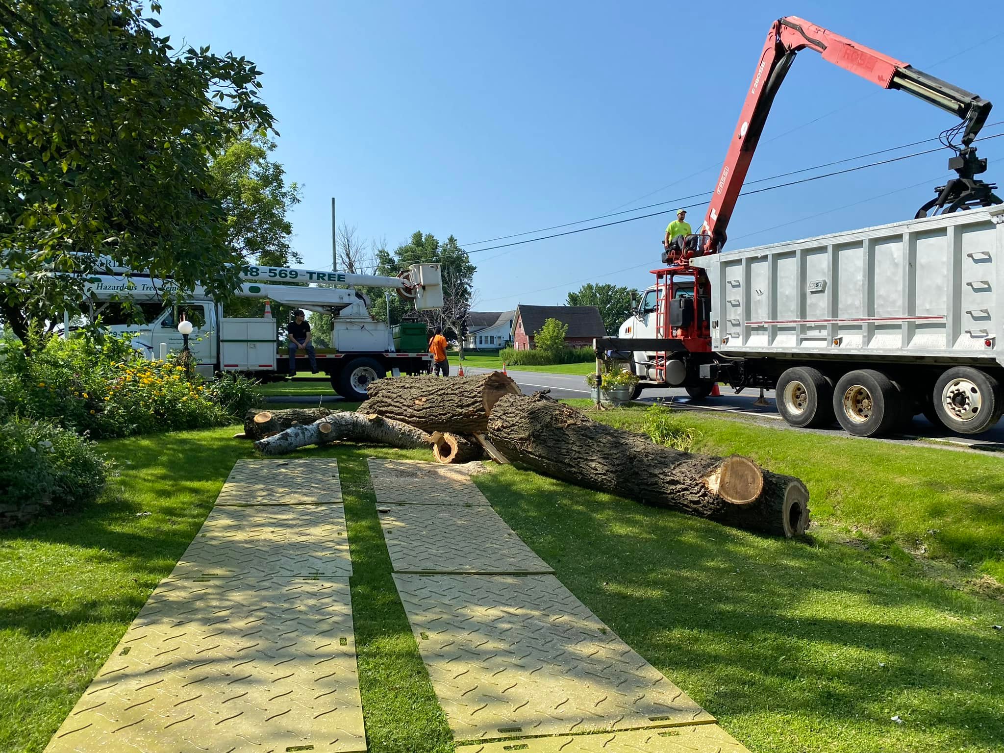 Richard's Tree Service added a... - Richard's Tree Service