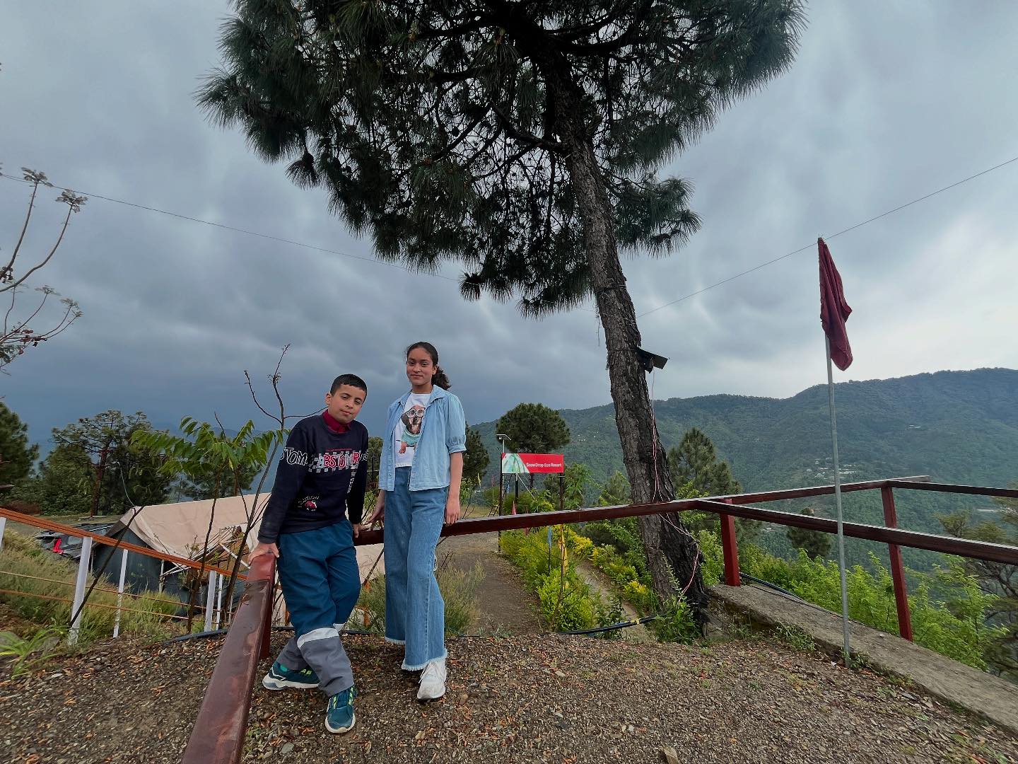 Snow Drop eco resort | Chail