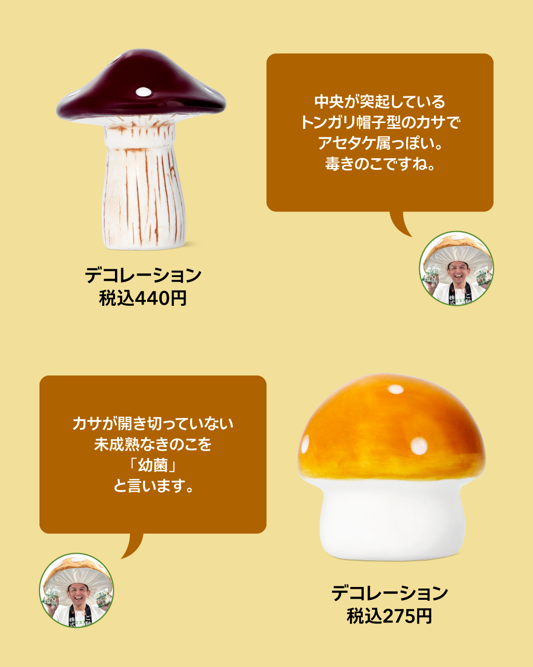 スペシャルきのこマイスター（@misuzu_life_）が語る！きのこアイテム
