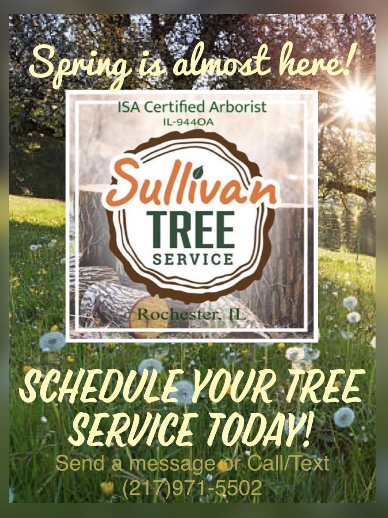 Sullivan Tree Service | Rochester IL