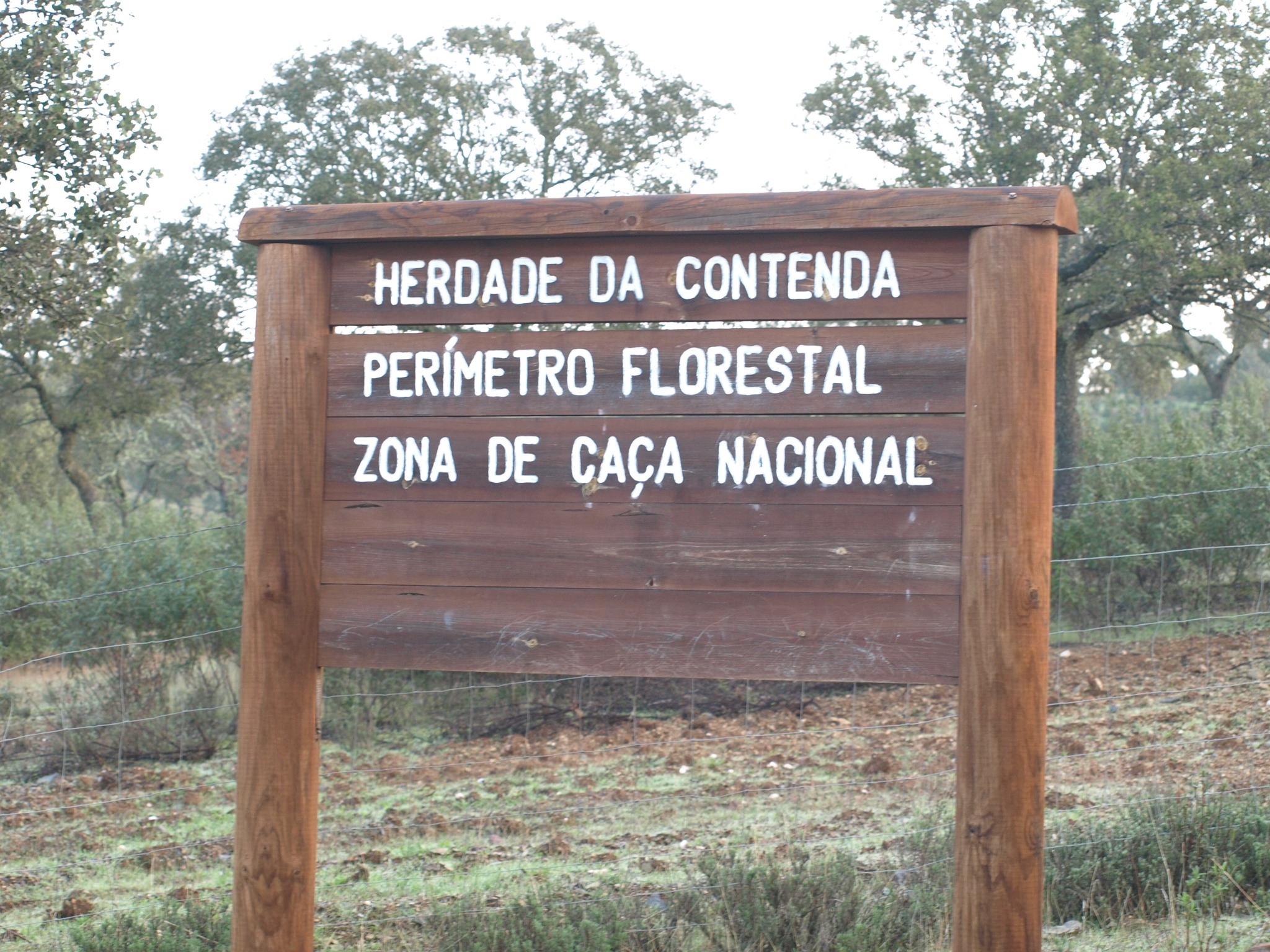MONTARIA da ZCN da Contenda - época... - Caça & Cães de Caça | Facebook