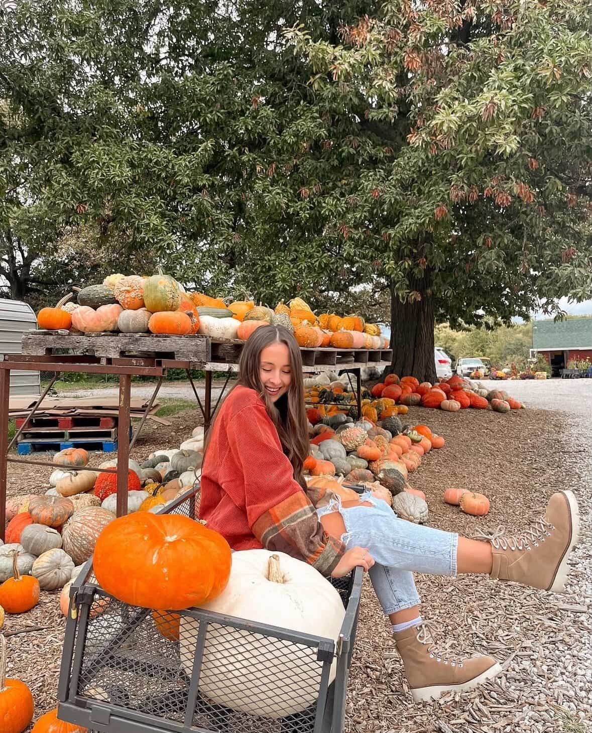 🍁Fall Bucket List Idea🍁: Picking... - I Love Springfield, MO! | Facebook