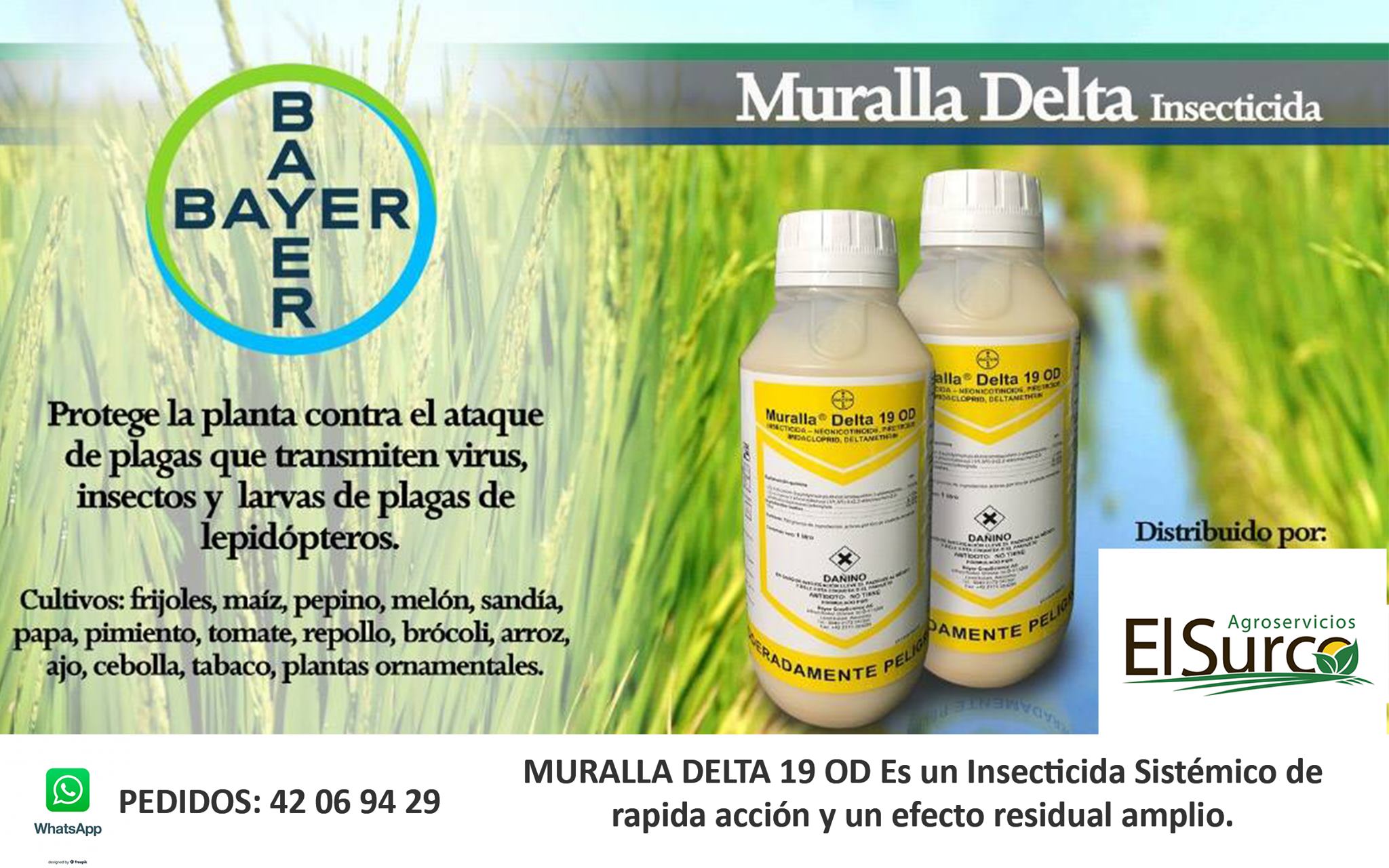 Muralla Delta en acción contra plagas comunes
