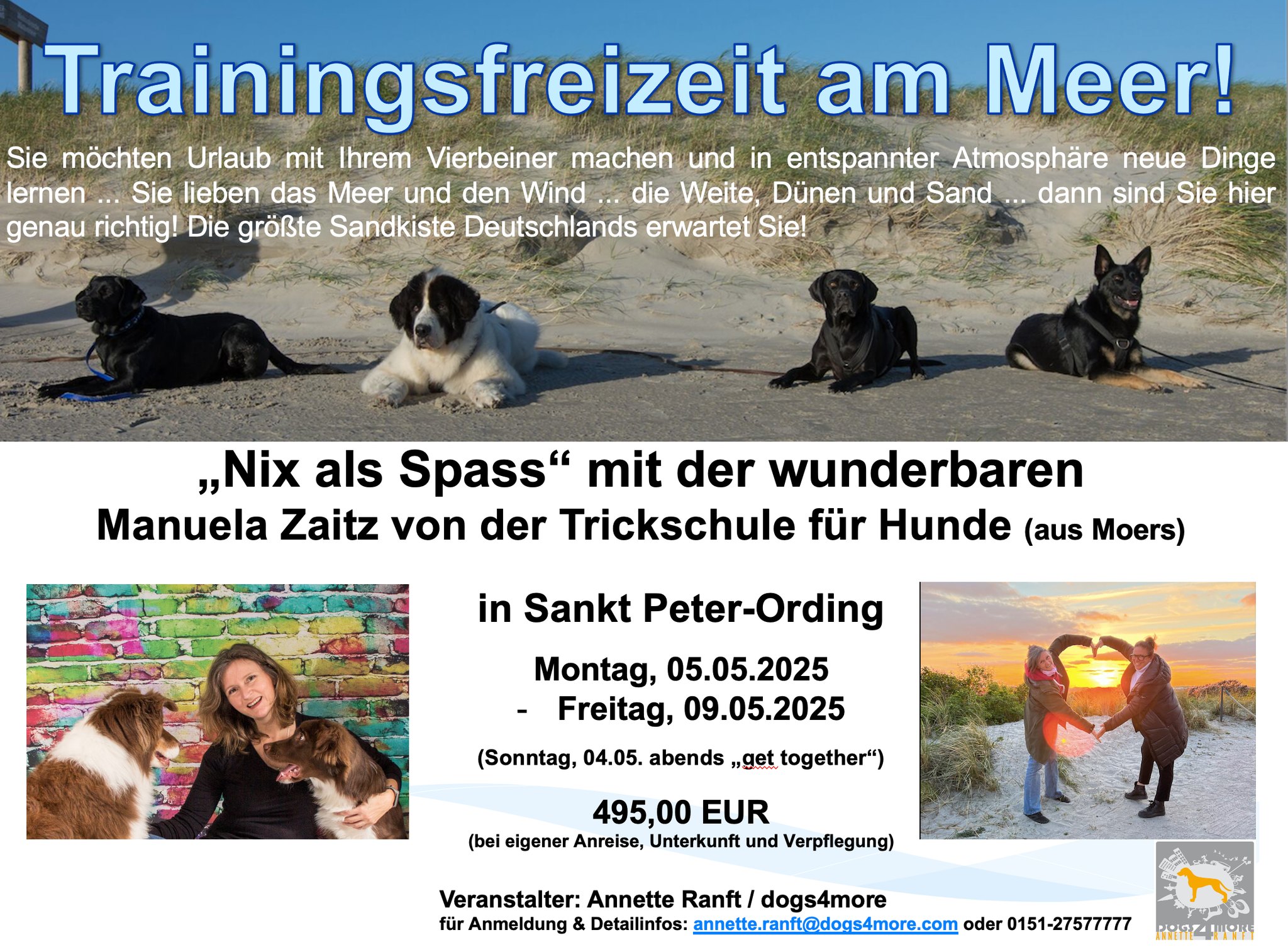 Dogs4More | Hattersheim