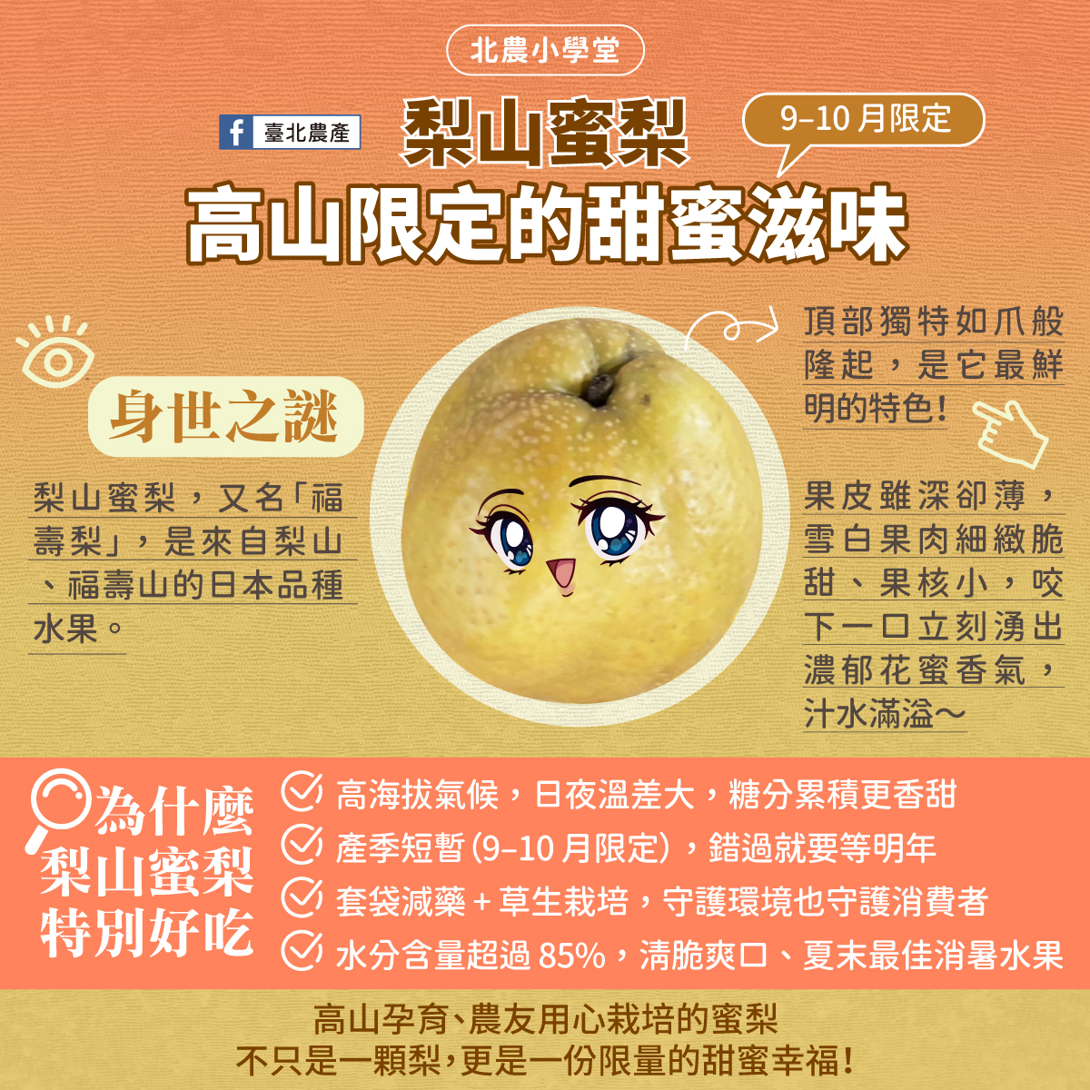 臺北農產 - 🍐 【梨山蜜梨｜高山限定的甜蜜滋味】 🍐 梨山蜜梨，又名「福壽梨」，是來自梨山、福壽山的日本品種水果。頂部獨特如爪般隆起，是它最 ...