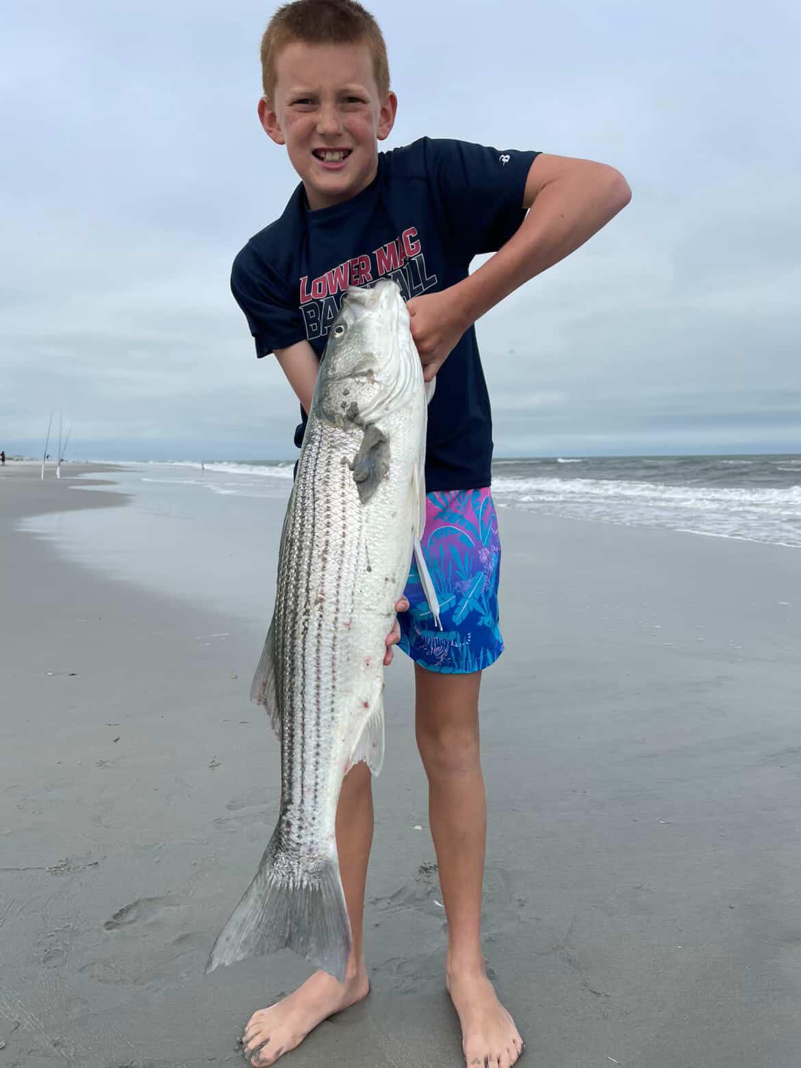 RipTide - Stripers refuse to leave as long as they can feed on Riptide ...