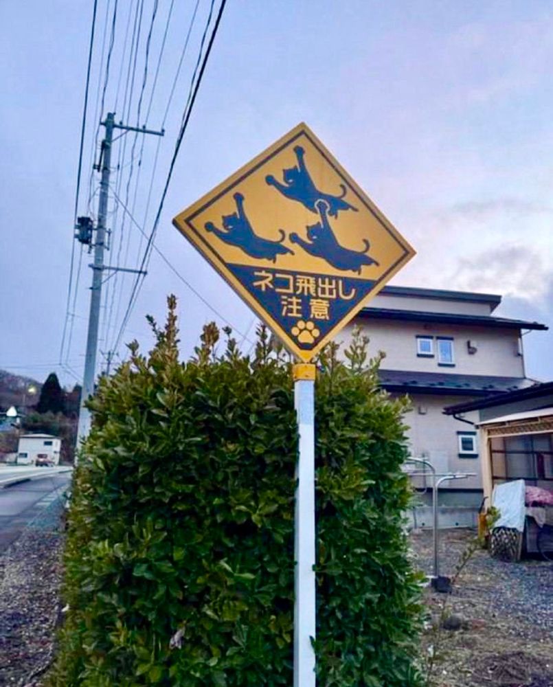 Nagano - Best sign ever! ネコ飛出し注意 (neko tobidashi chūi) means “watch for ...