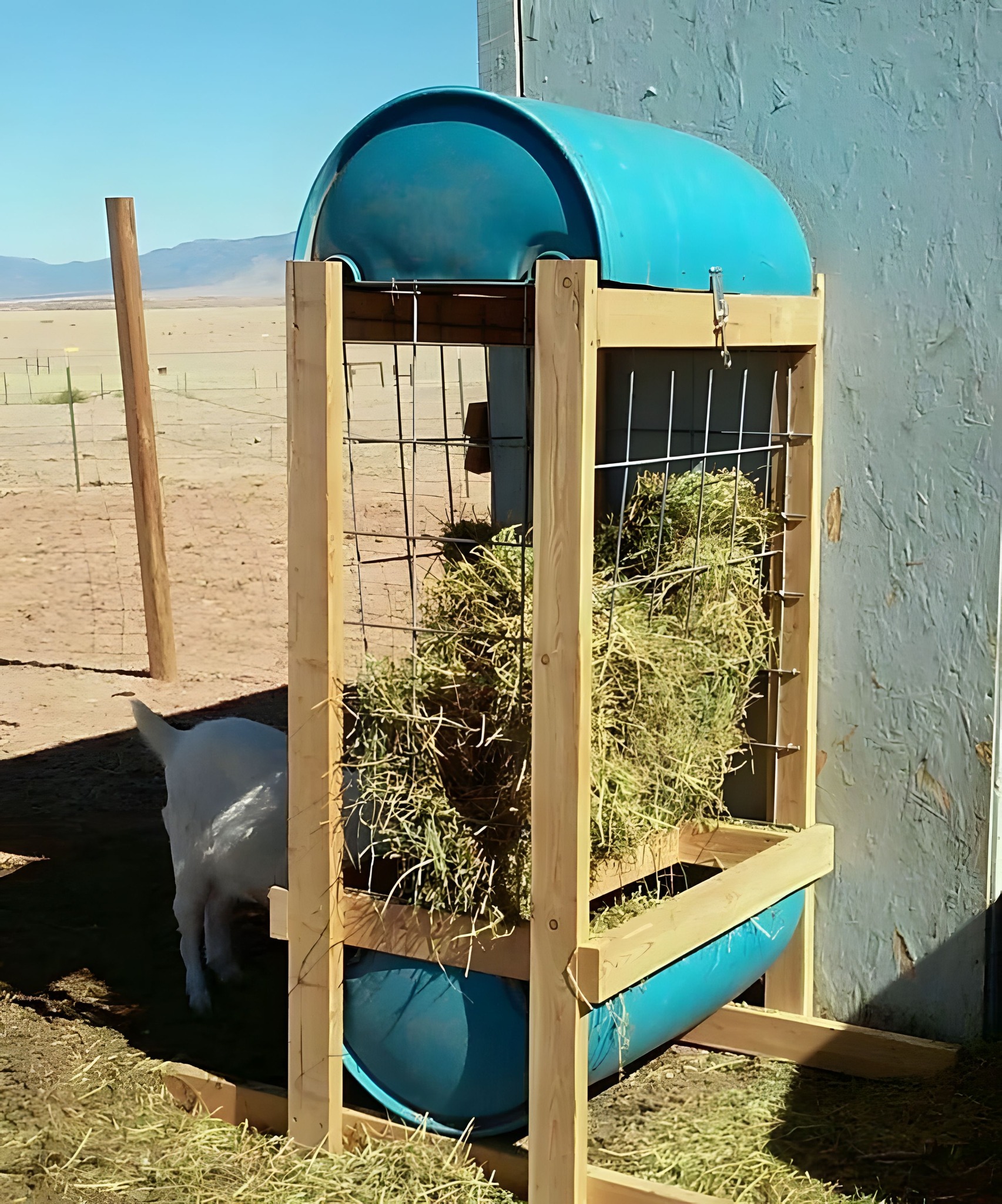 Angelina - Upcycled Plastic Drum Hay Feeder. | Facebook
