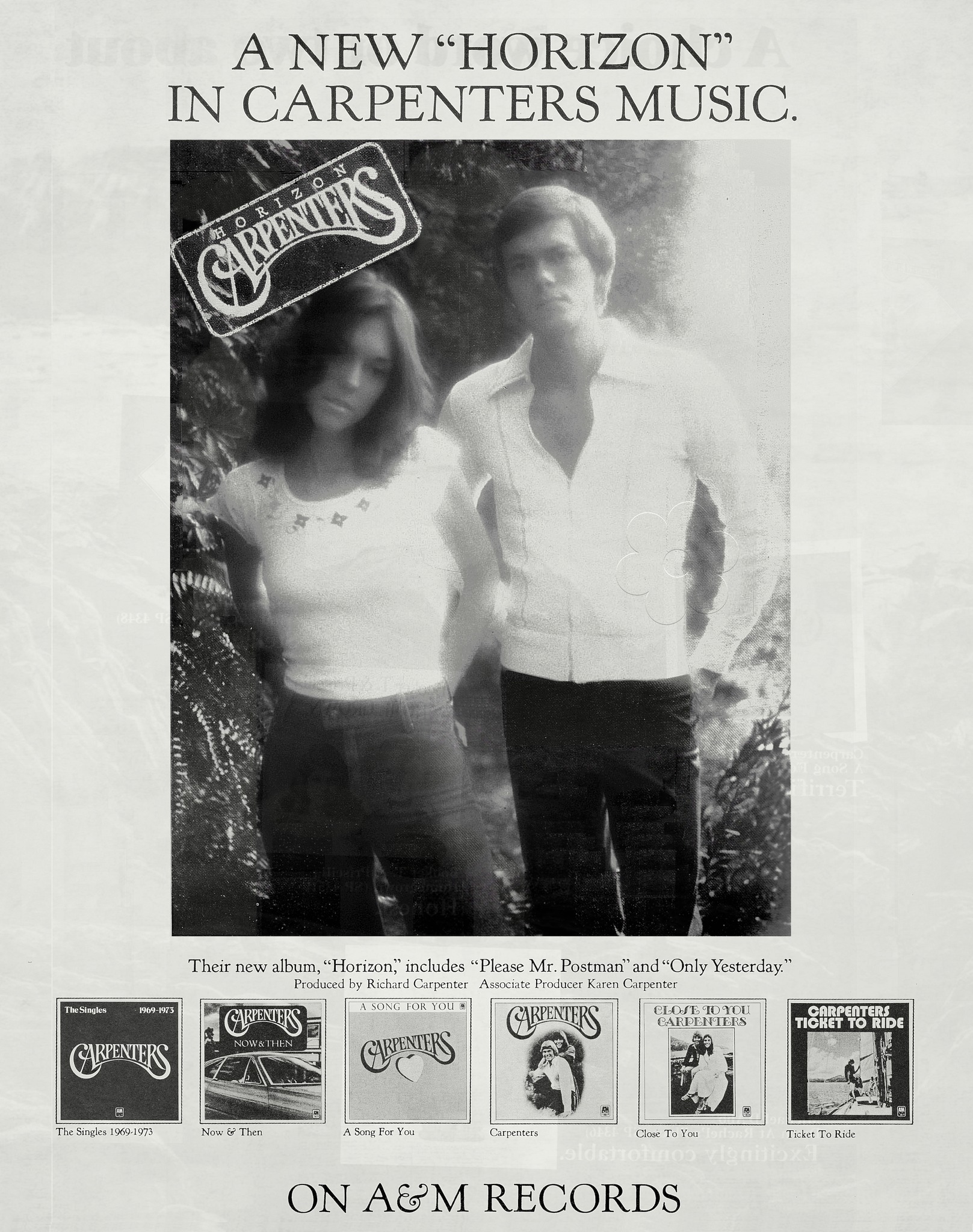 Carpenters released 'Horizon' in 1975, an album that was on trend
