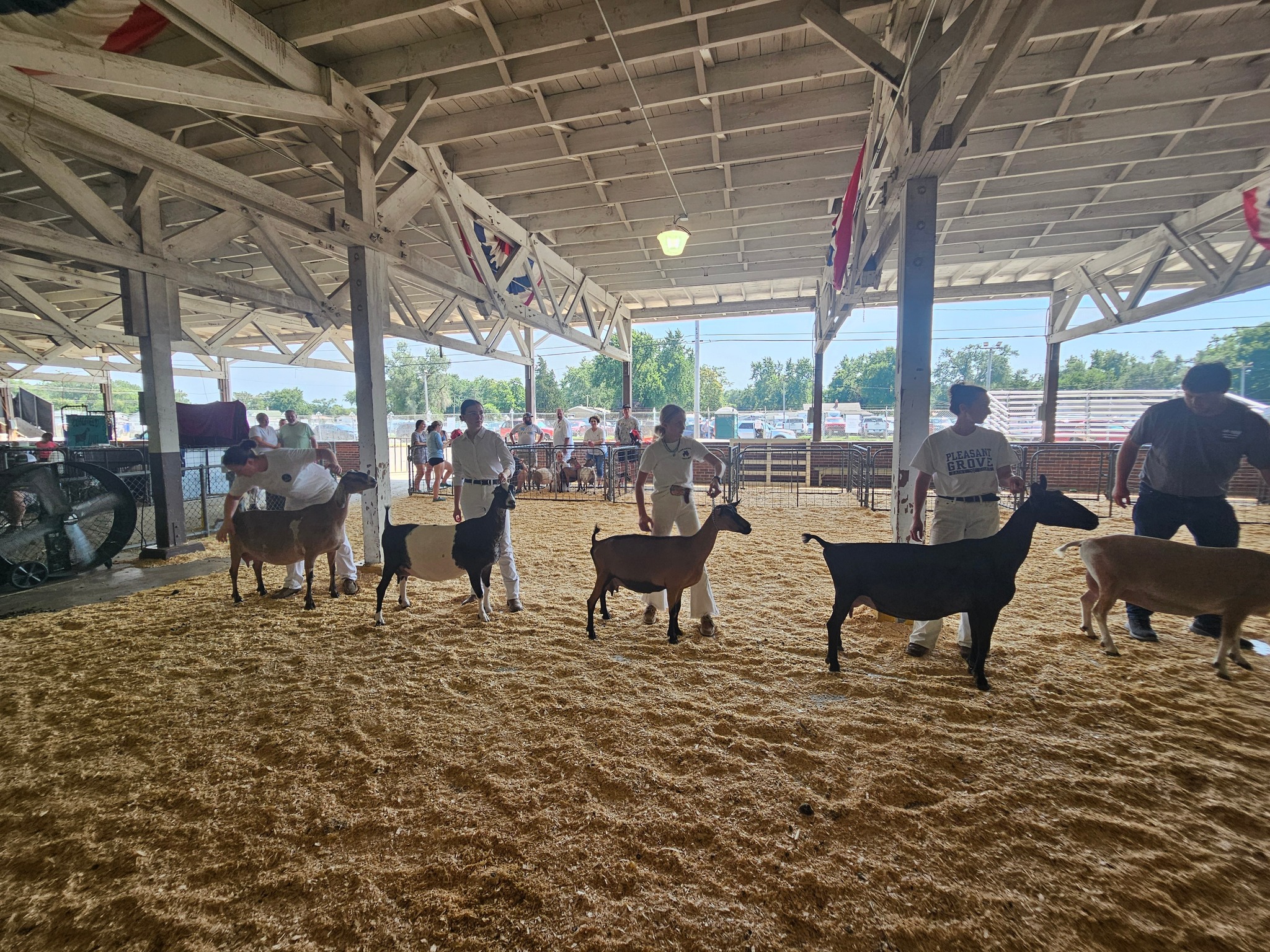 Iowa Dairy Goat Association... - Iowa Dairy Goat Association