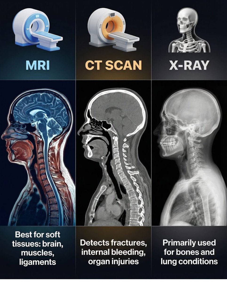 Engineering - Medical imaging plays a vital role in diagnosing ...