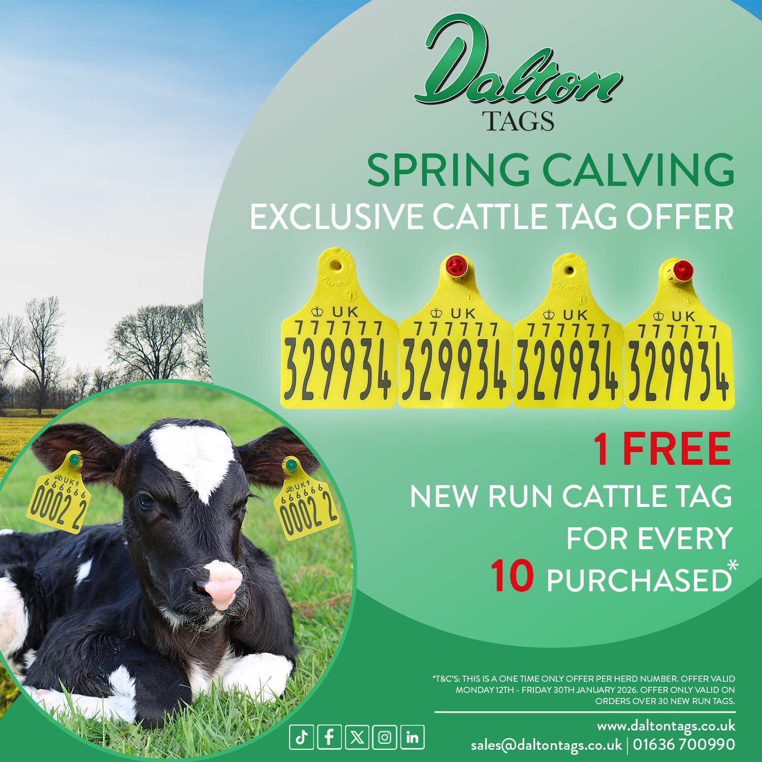 📢 Spring Calving - are you... - Highland Cattle Society | Facebook