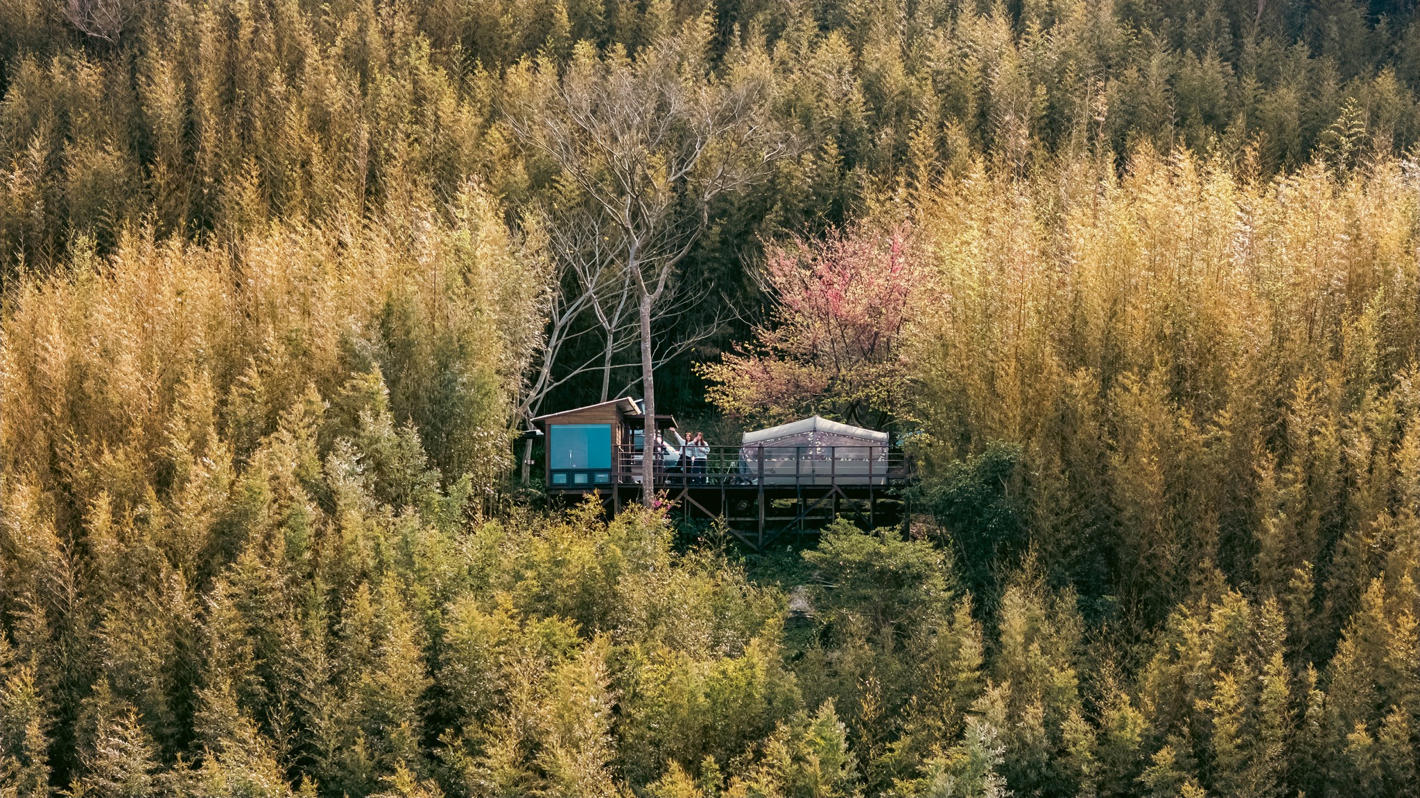 營火部落 - 這根本是新型態的露營區，整合山景獨棟民宿，跟自搭帳區域，保有自己獨立的空間，不用怕碰到NG露友，再加上景... | Facebook