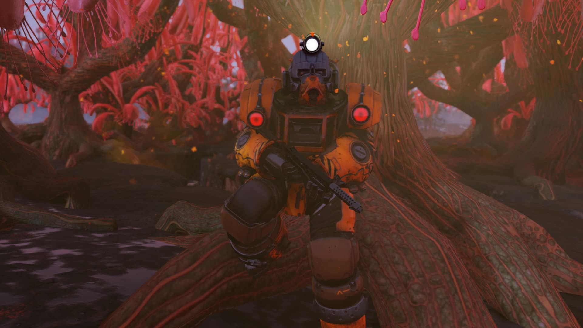RaccoonRobin Gaming