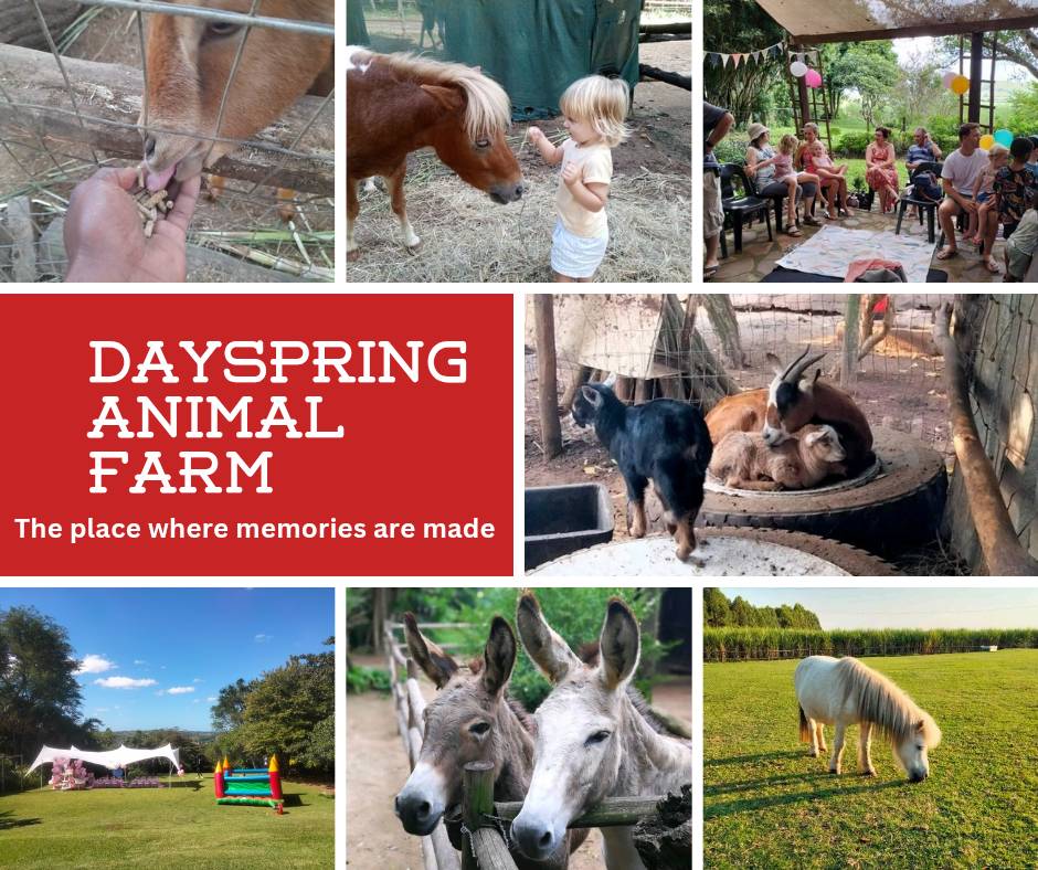 Dayspring Equestrian and Animal Farm | Empangeni