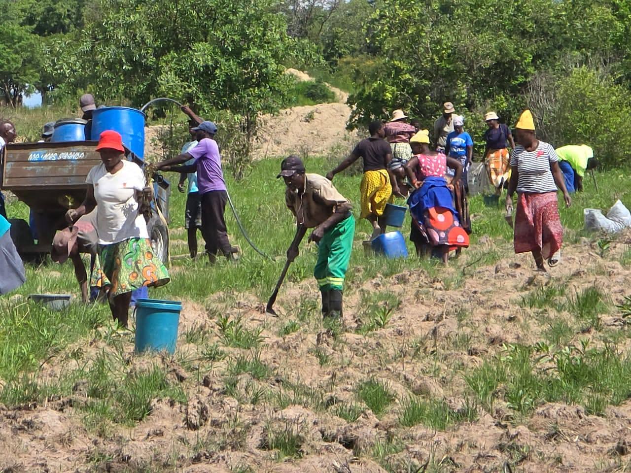 Marondera RDC | Marondera