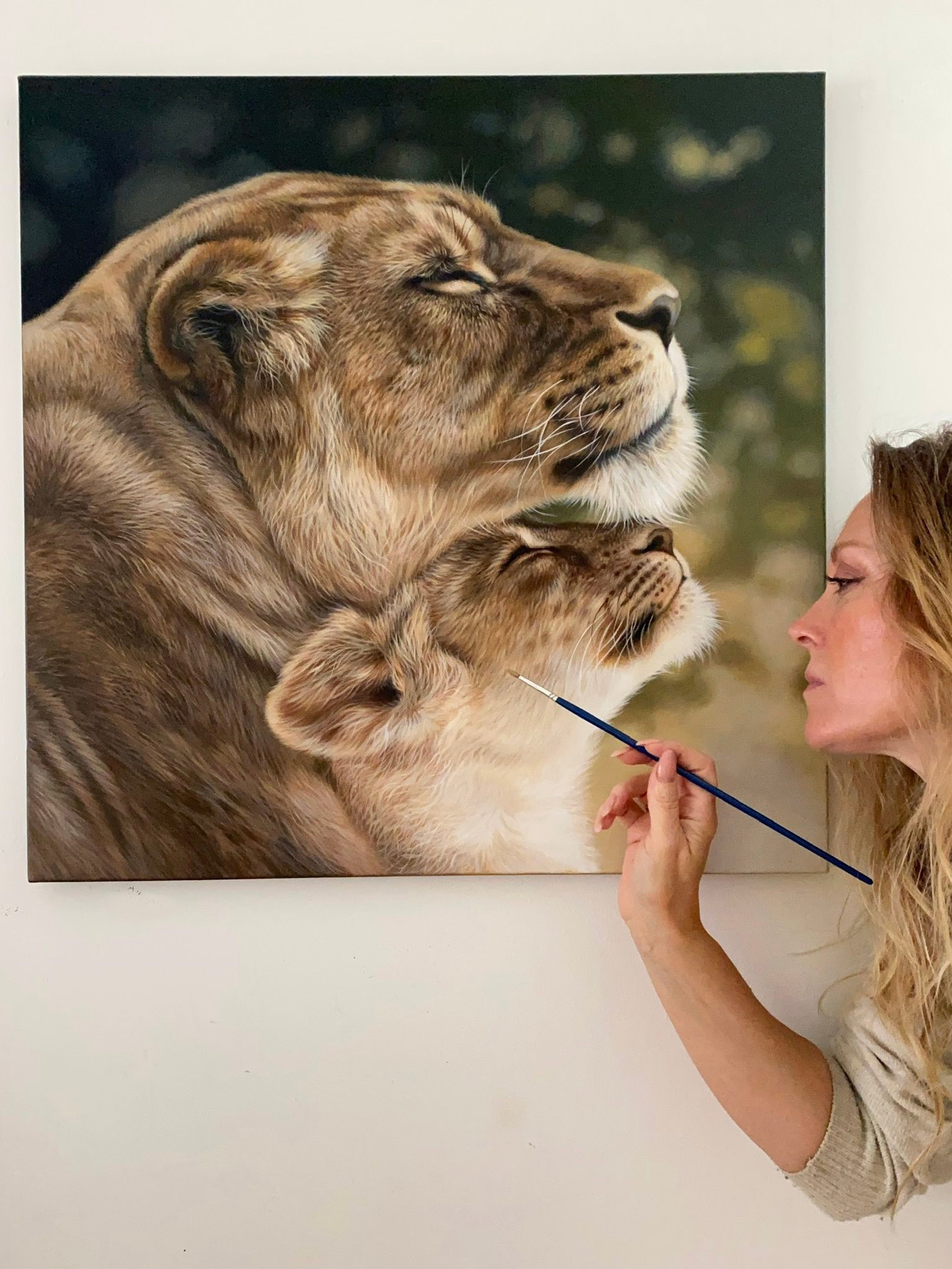 Julie Rhodes - wildlife pencil drawings
