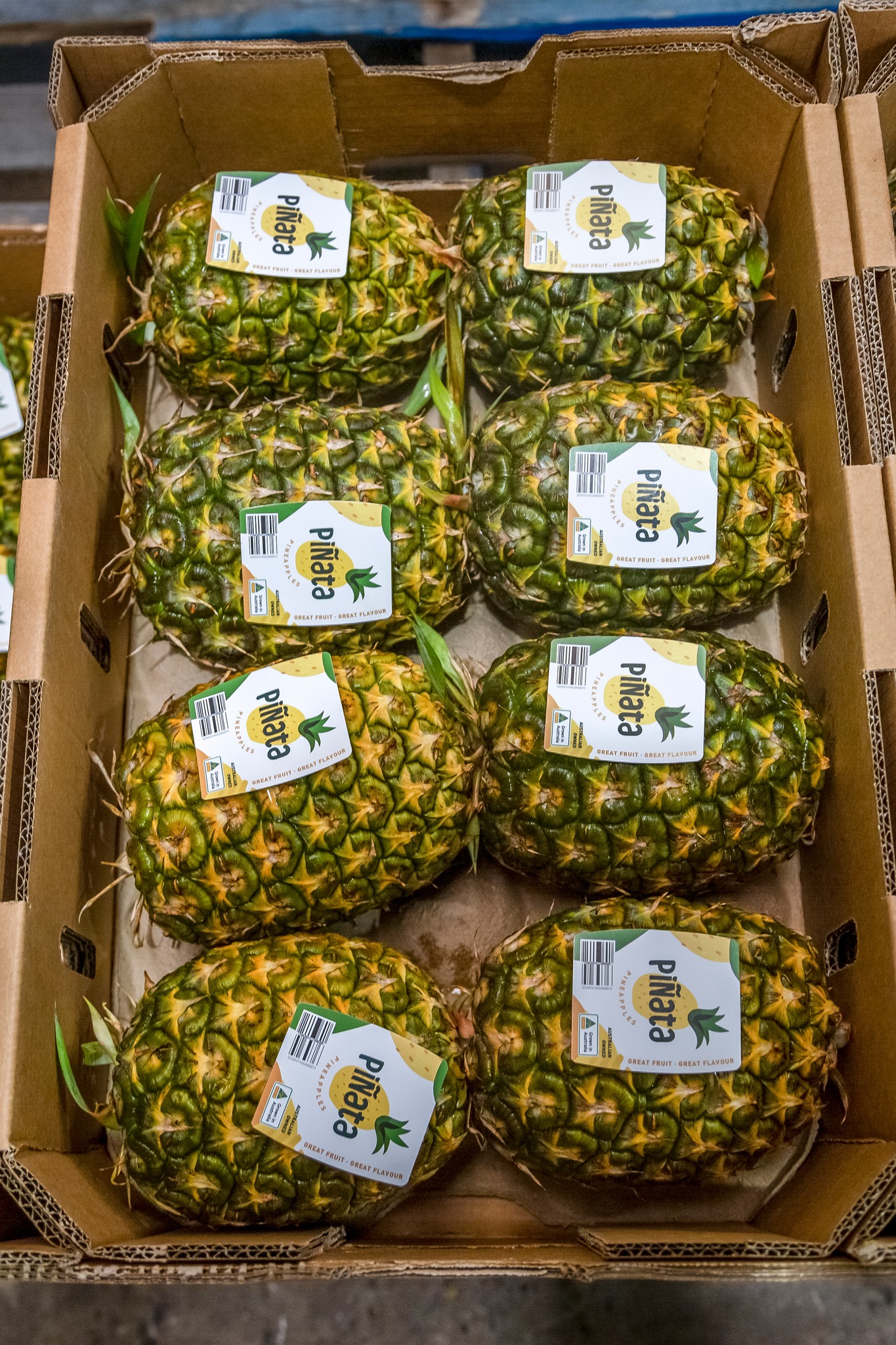 Piñata - Our pineapples are packed with goodness from top to bottom ...