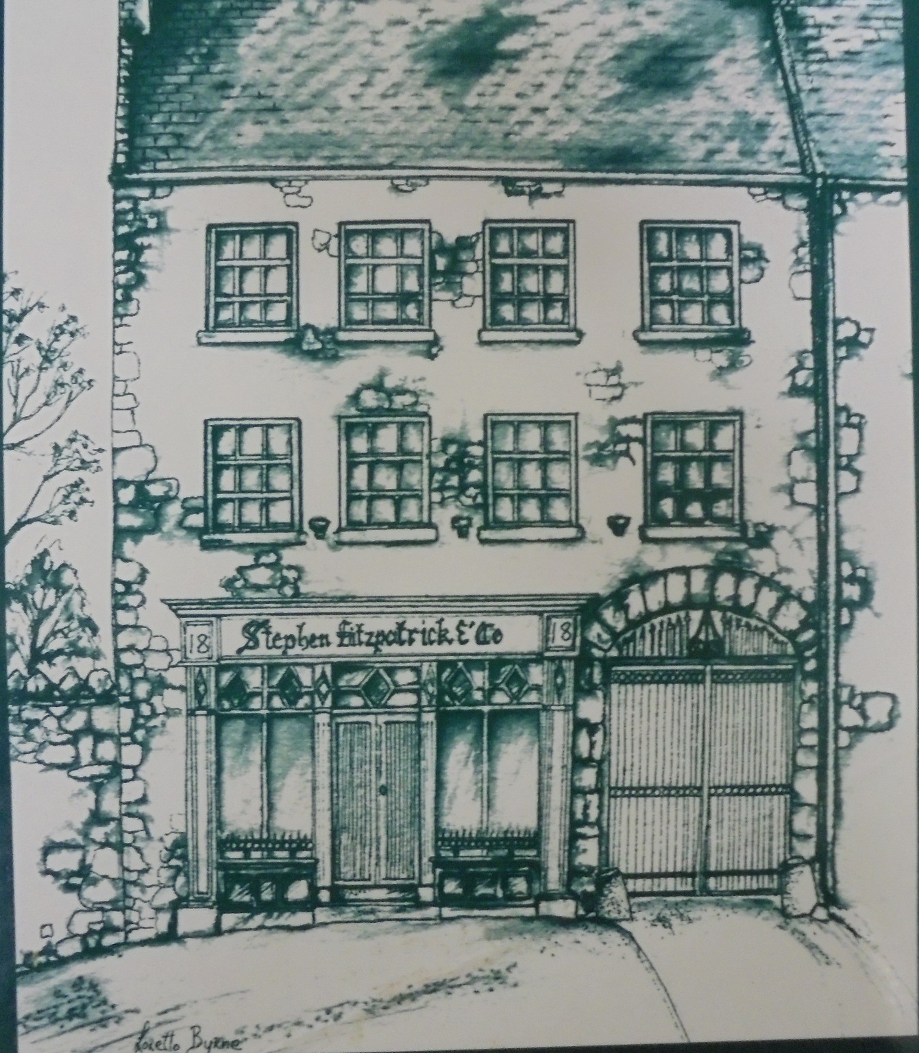 Stephen - Stephen Fitzpatrick & Co Estd. 1881, now in its fifth ...