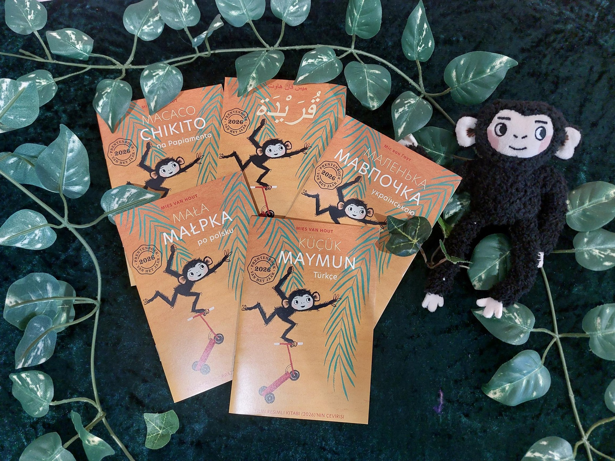 Bibliotheek - 🌎 Lees Kleine Aap in je eigen taal! 🌍🐒 De Nationale ...