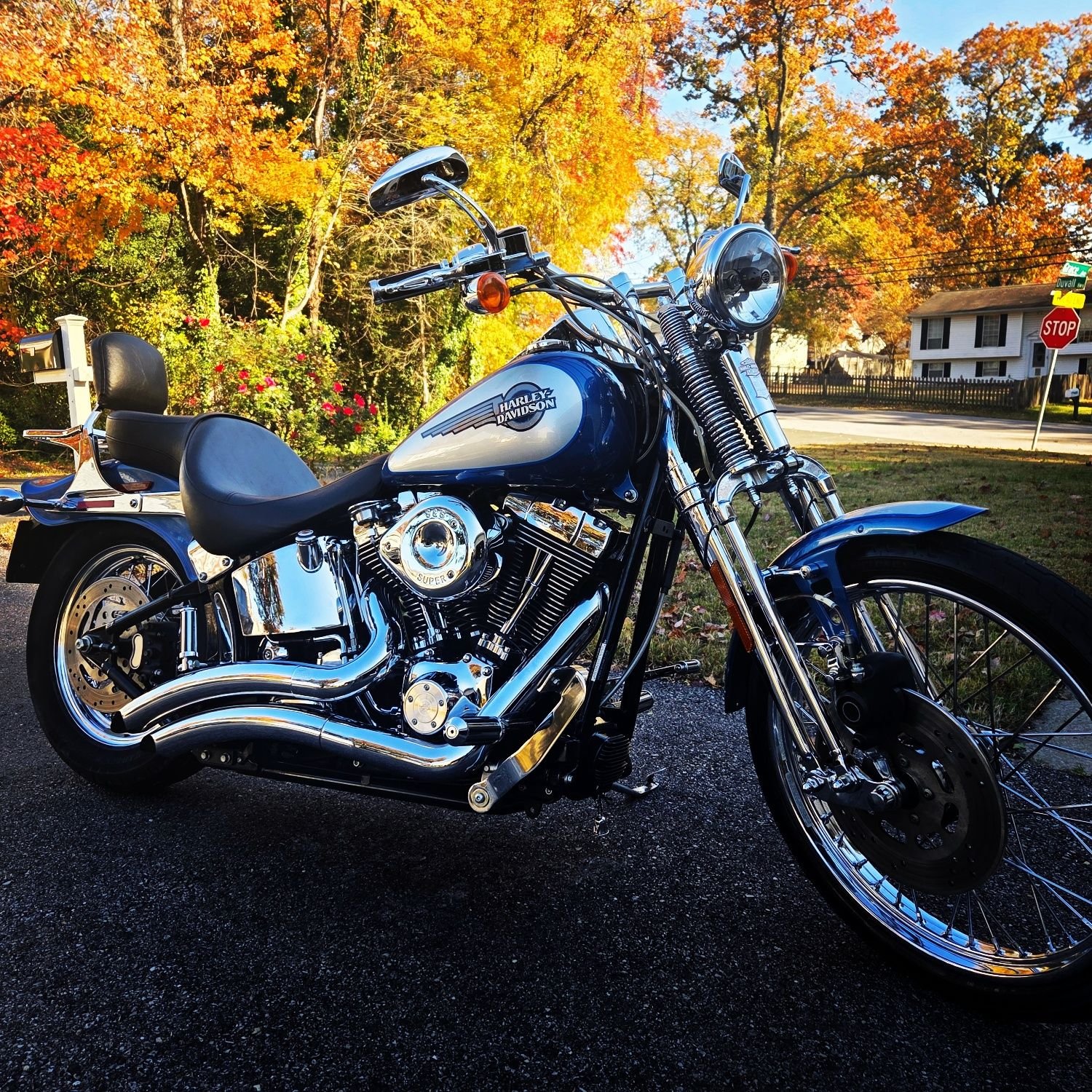 Harley Springer Riders.. | 05 Springer. Anyone known of any companies ...