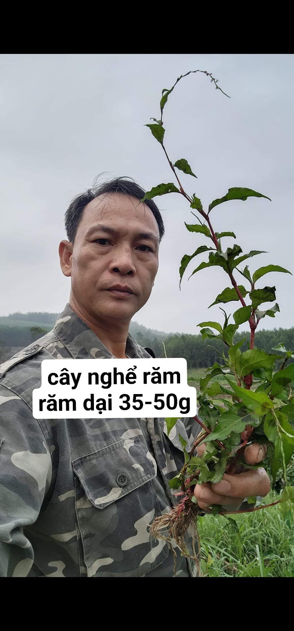 Nhat Trung Hoa