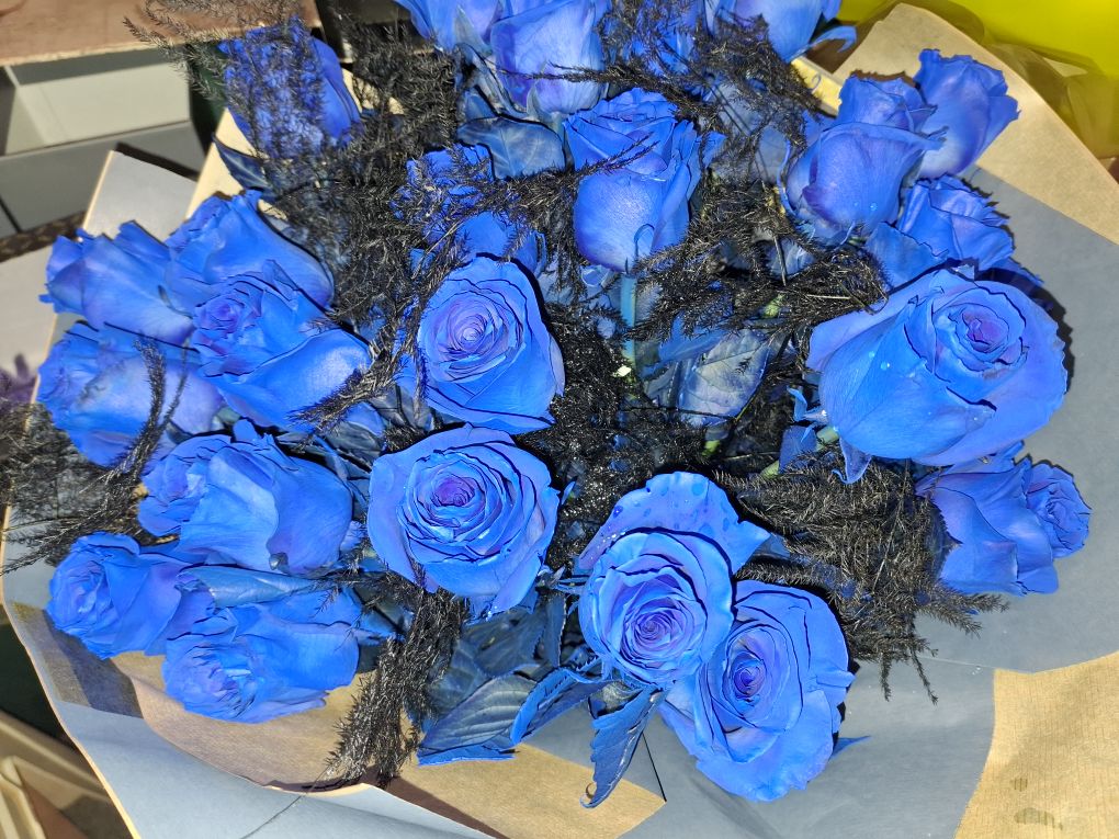Blue Rose 🌹 2020 Aspec Still in love with her!!!!