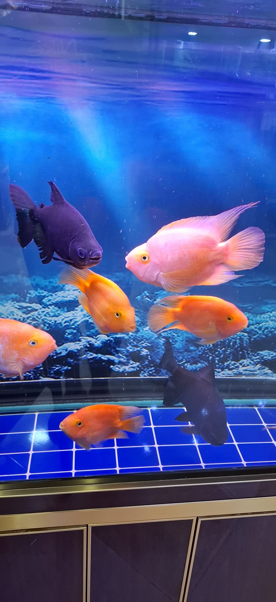 Hamza fish eleulma added a new photo. - Hamza fish eleulma
