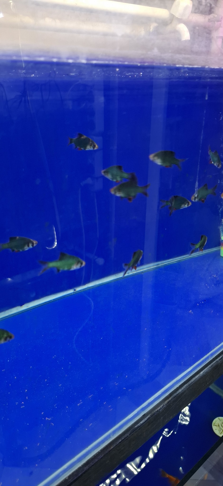 Hamza fish eleulma added a new photo. - Hamza fish eleulma