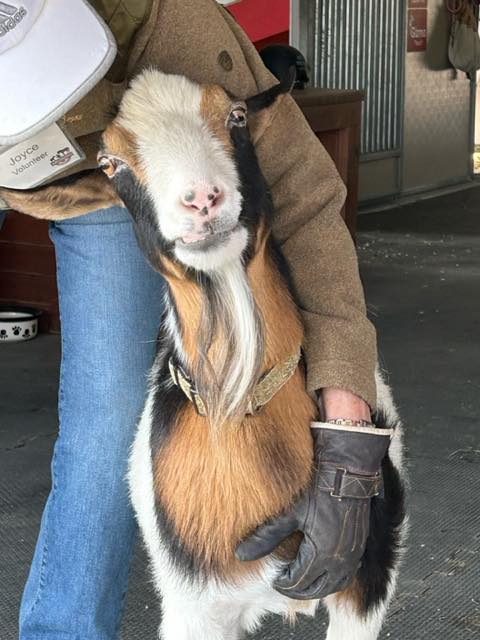 Jasper Ridge Farm added a new photo. - Jasper Ridge Farm