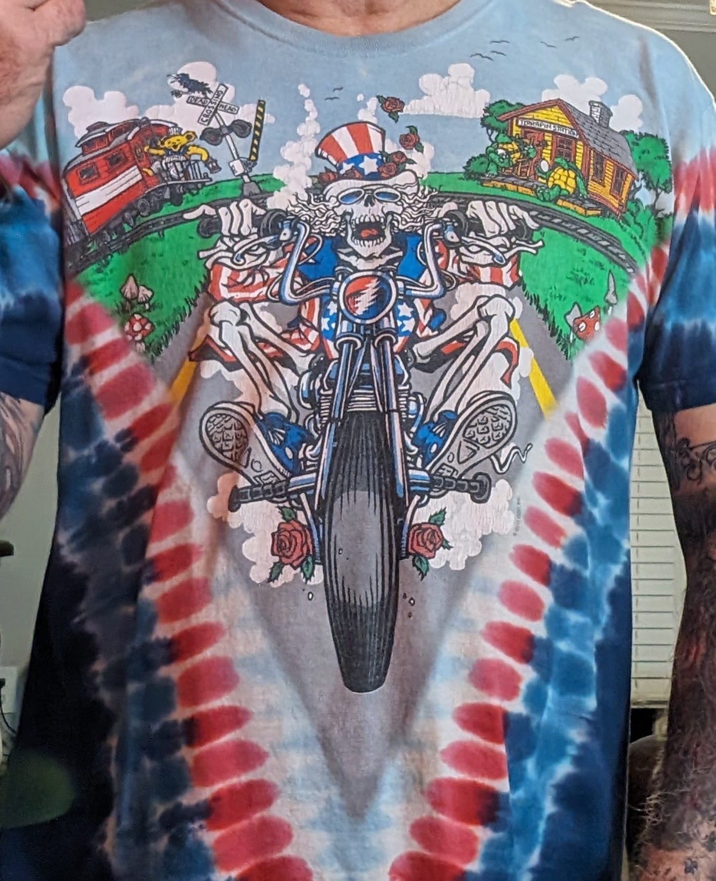 Dead & Company fans and their 