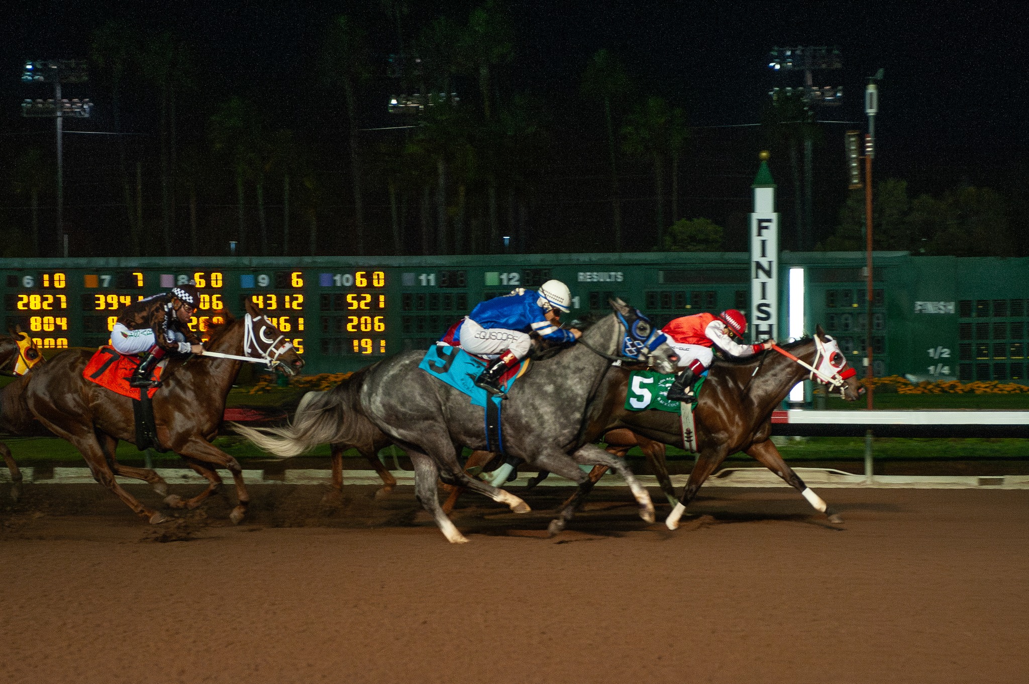 Q-Racing - AQHA Past President Johnny Trotter’s Bodacious Eagle has ...