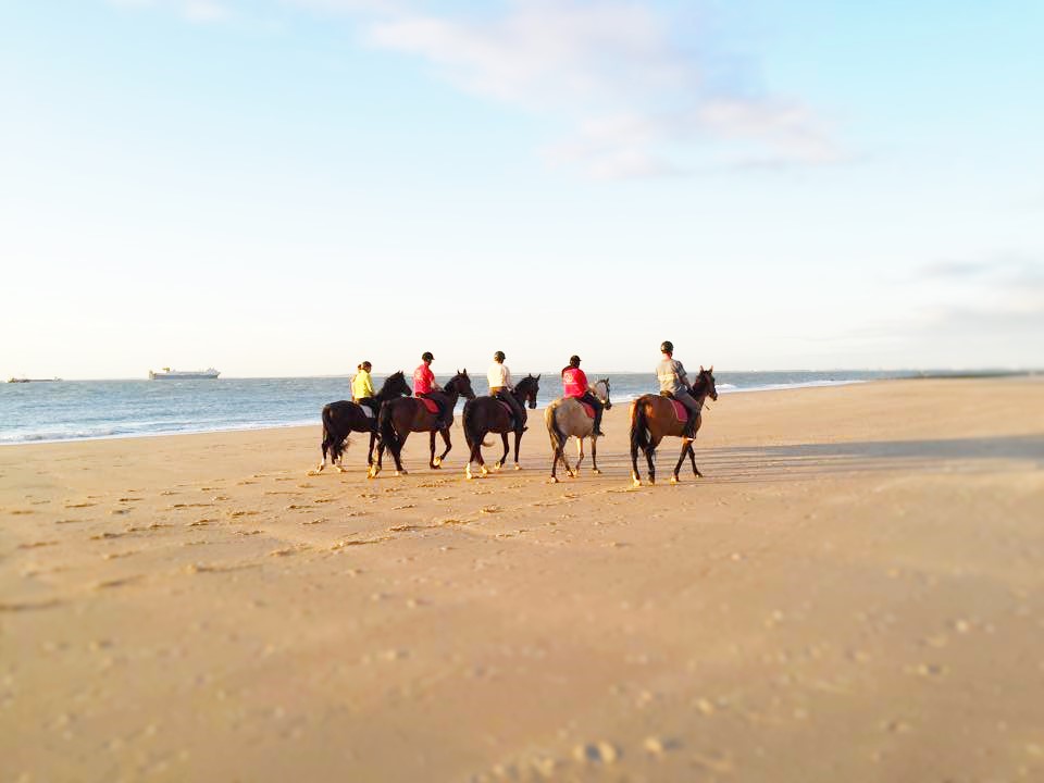 Strandhuisjes Nederland - Nog enkele strandhuisjes Vlissingen (met ...