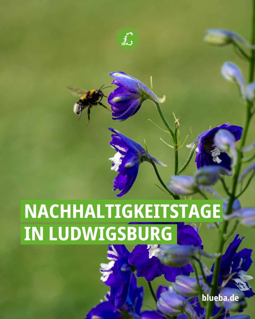 Blühendes - 🌱 Nachhaltigkeitstage in Ludwigsburg, vom 18. September bis ...