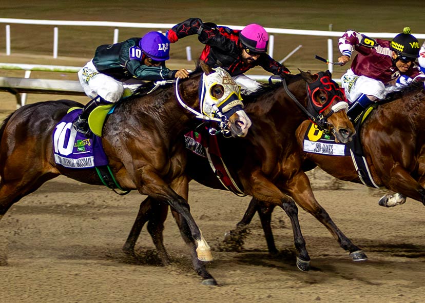 Q-Racing - AQHA Past President Johnny Trotter’s Bodacious Eagle has ...