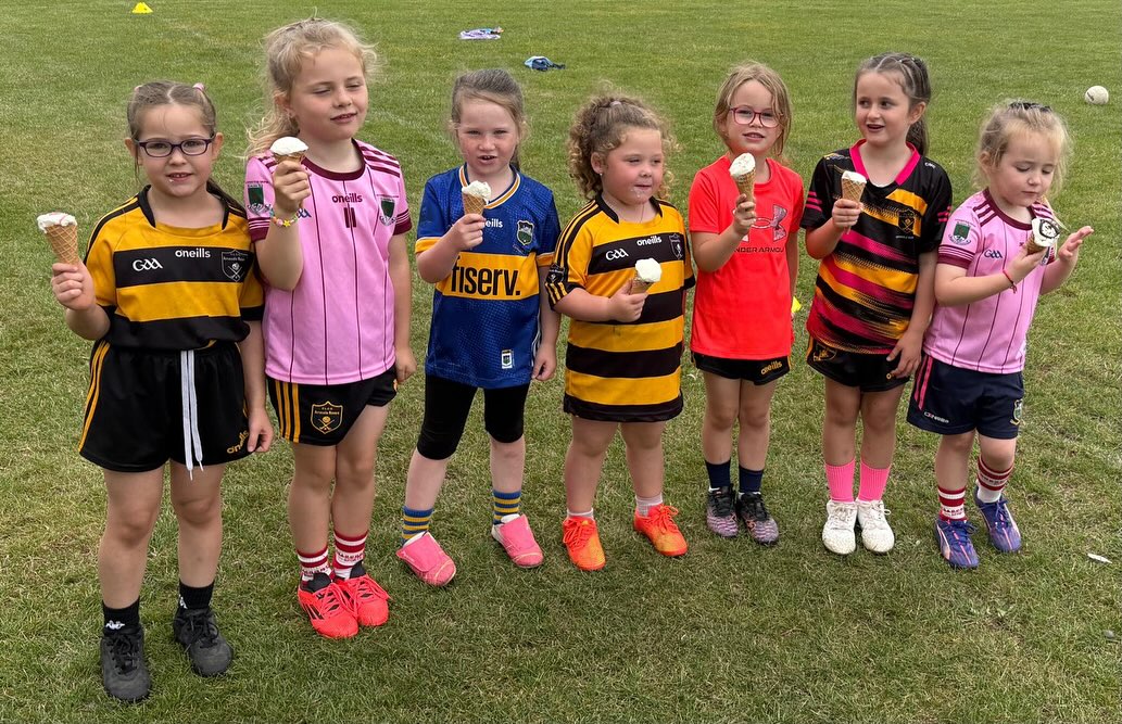 Official Arravale Rovers GAA | Tipperary