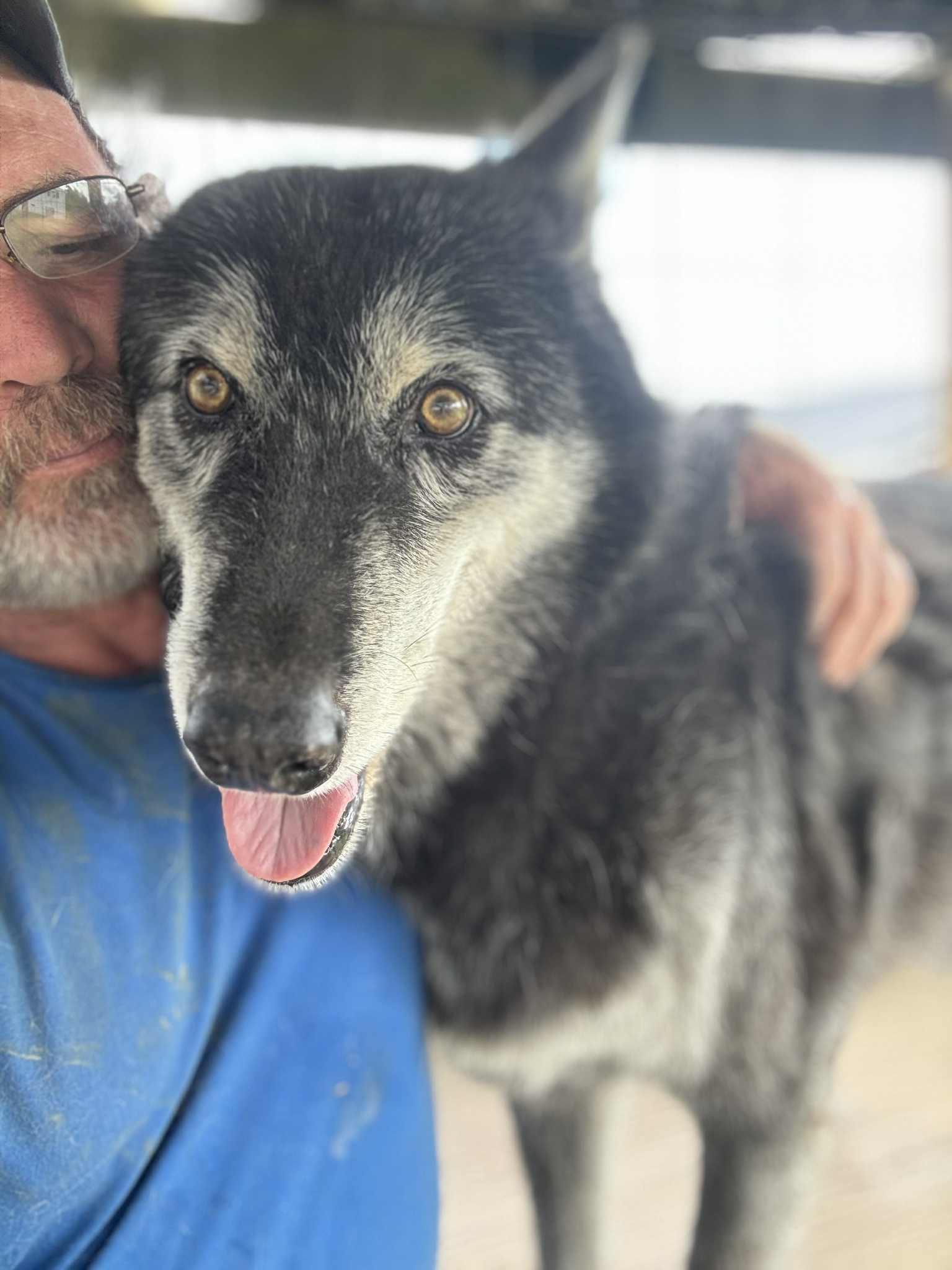 Southern Ohio Wolf... - Southern Ohio Wolf Sanctuary, Inc.