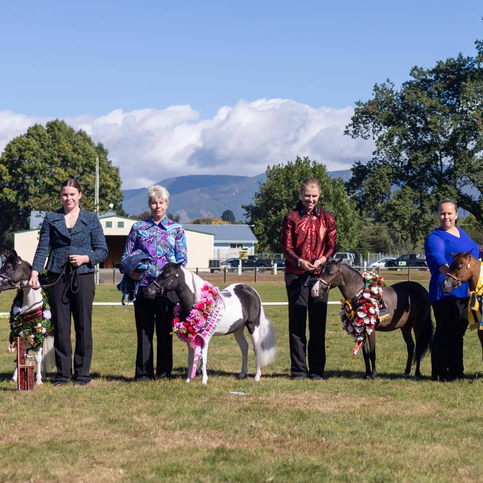 The New - 💐🌺🌸Top 5 Futurity Sires 22/23🌸🌺💐 NZMHA is proud to announce ...